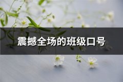 震撼全场的班级口号