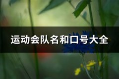 运动会队名和口号大全