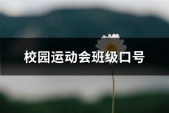 校园运动会班级口号