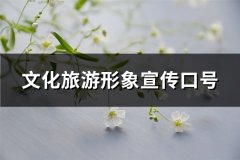 文化旅游形象宣传口号