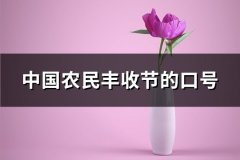 中国农民丰收节的口号