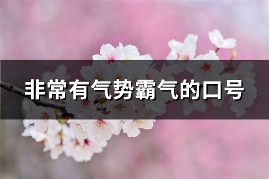 非常有气势霸气的口号