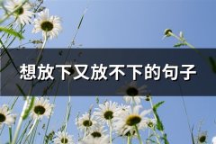 想放下又放不下的句子