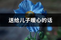 送给儿子暖心的话