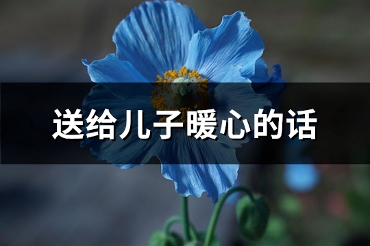 送给儿子暖心的话