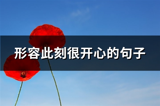 形容此刻很开心的句子