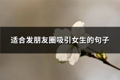 适合发朋友圈吸引女生的句子