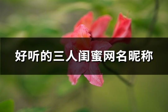 好听的三人闺蜜网名昵称(优选101个)(好听的三人闺蜜群聊名字大全)