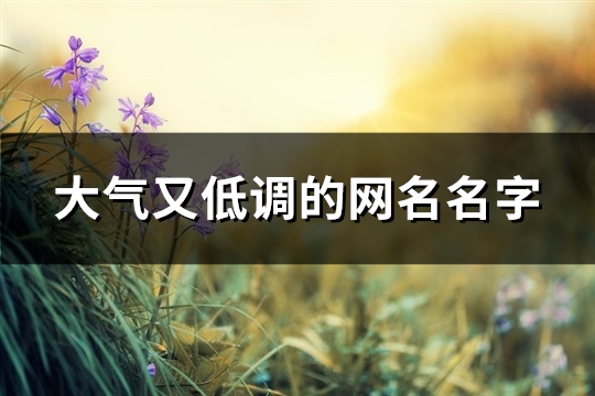 大气又低调的网名名字(共366个)