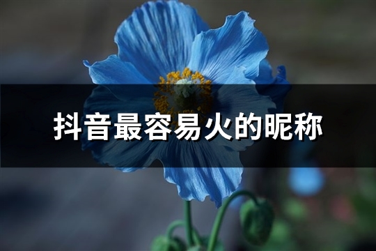 抖音最容易火的昵称(精选1556个) 抖音最容易火的昵称(精选1556个)