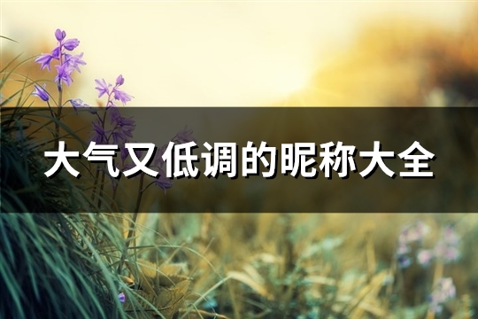 大气又低调的昵称大全(共285个) 大气又低调的昵称繁体字女