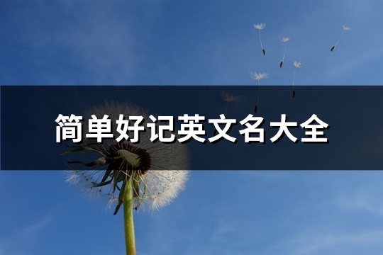简单好记英文名大全(优选86个)(简单好记英文名女)