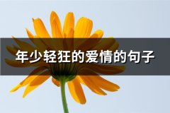 年少轻狂的爱情的句子(汇总61句)