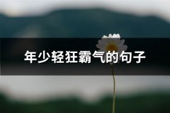 年少轻狂霸气的句子(必备101句)