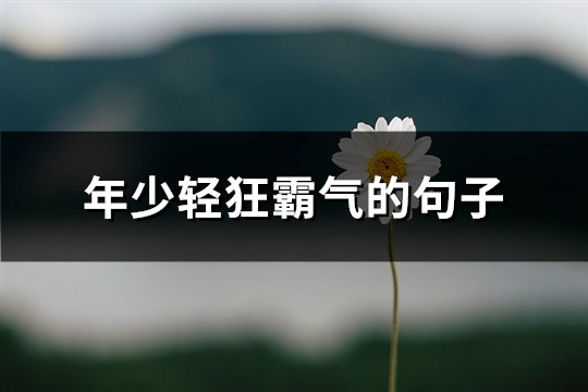 年少轻狂霸气的句子(必备101句)
