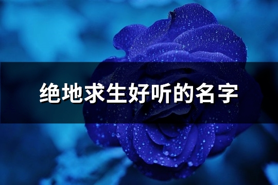 绝地求生好听的名字(共273个)(绝地求生好听的英文id战队)