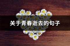 关于青春逝去的句子