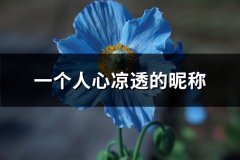 一个人心凉透的昵称(454个)