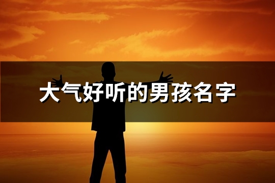 大气好听的男孩名字(优选131个)(大气好听的男孩小名)