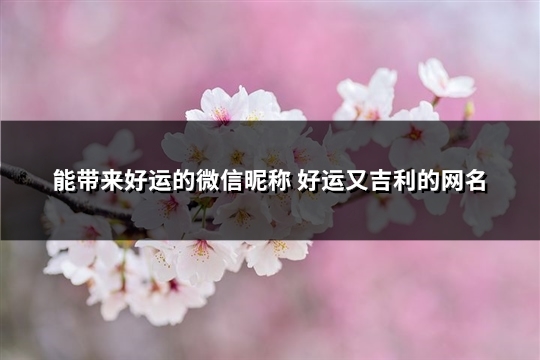 能带来好运的微信昵称 好运又吉利的网名(精选637个)(能带来好运的微信头像图片)