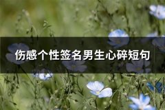 伤感个性签名男生心碎短句(通用282句)