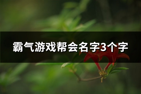 霸气游戏帮会名字3个字(共317个)(霸气游戏帮会名称)