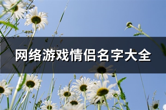 网络游戏情侣名字大全(共332个)(网络游戏情侣名字大全有诗意两个字)