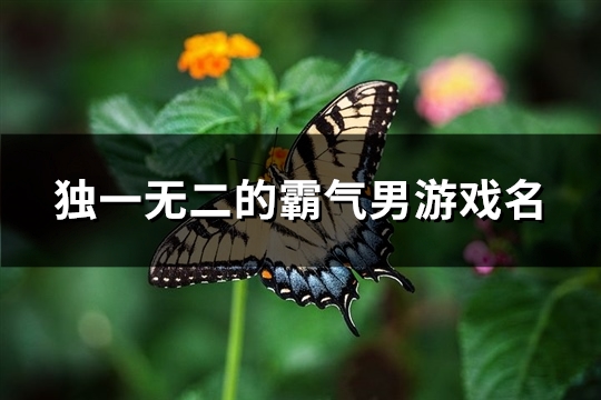 独一无二的霸气男游戏名(共555个)(独一无二的霸气女网名)