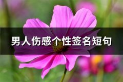 男人伤感个性签名短句(推荐167句)