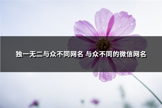 独一无二与众不同网名 与众不同的微信网名(精选787个) 独一无二与众不同头像动漫女