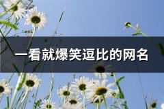 一看就爆笑逗比的网名(130个)