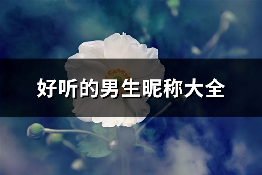 好听的男生昵称大全(优选797个)(好听的男生昵称两个字)