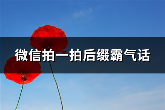 微信拍一拍后缀霸气话(共104个)(微信拍一拍后缀在哪里设置)