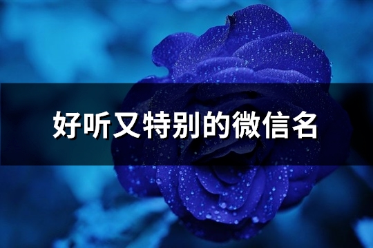 好听又特别的微信名(精选381个)(好听又特别的微信名字三个字)