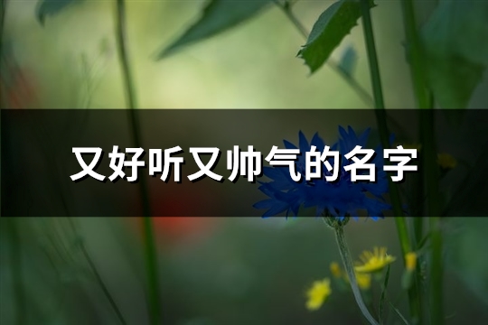 又好听又帅气的名字(精选133个)(又好听又帅气的网名)