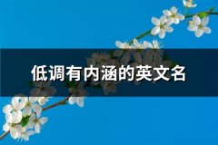 低调有内涵的英文名(精选92个)