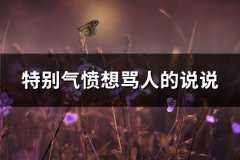 特别气愤想骂人的说说