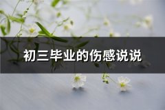 初三毕业的伤感说说