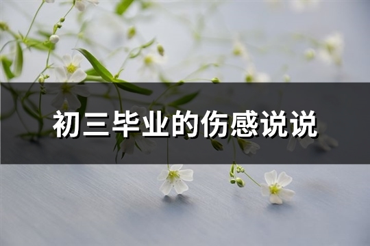 初三毕业的伤感说说