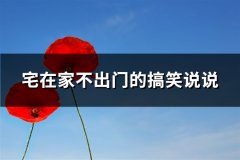 宅在家不出门的搞笑说说