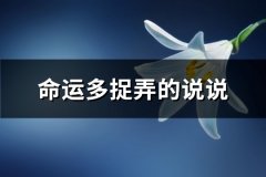 命运多捉弄的说说