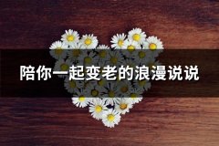 陪你一起变老的浪漫说说