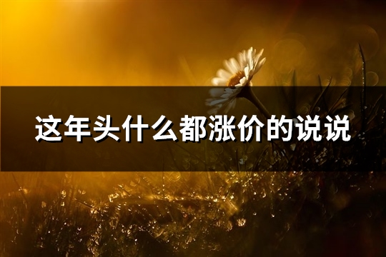 这年头什么都涨价的说说