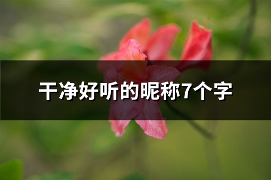 干净好听的昵称7个字(208个)(干净好听的昵称6个字)
