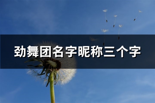 劲舞团名字昵称三个字(398个)(劲舞团名字昵称大全男)