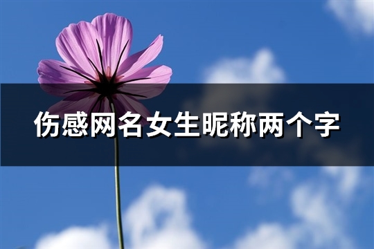 伤感网名女生昵称两个字(优选452个) 伤感网名女生昵称