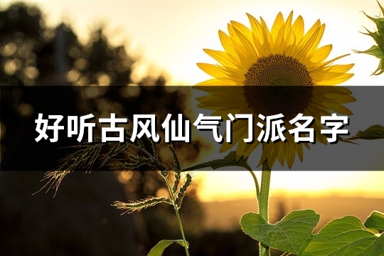 好听古风仙气门派名字(共438个)(好听古风仙气门派名字)