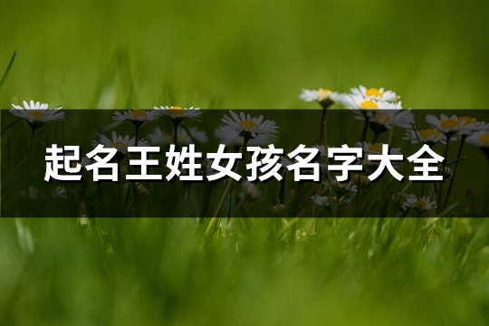 起名王姓女孩名字大全(精选362个)(起名王姓女孩名字两字)