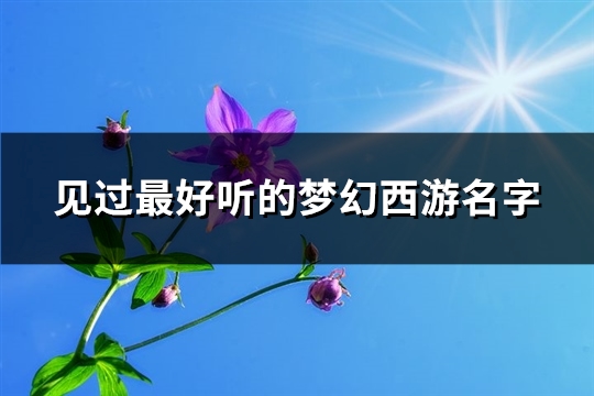 见过最好听的梦幻西游名字(优选535个)(见过最好听的梦幻西游名字)