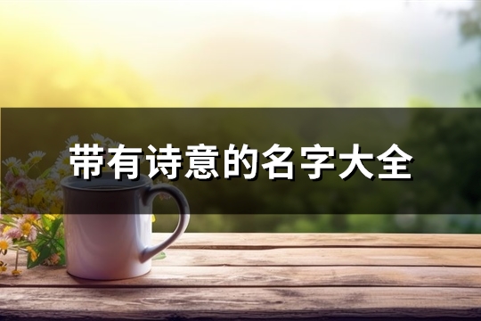 带有诗意的名字大全(647个)(王者带有诗意的名字)